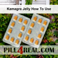 Kamagra Jelly How To Use 231