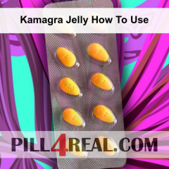 Kamagra Jelly How To Use 947