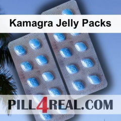 Kamagra Jelly Packs 311