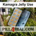 Kamagra Jelly Use 083