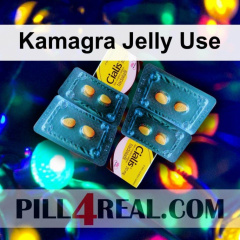 Kamagra Jelly Use 505