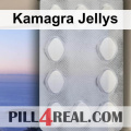 Kamagra Jellys 308
