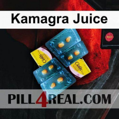 Kamagra Juice 144