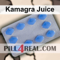 Kamagra Juice 395
