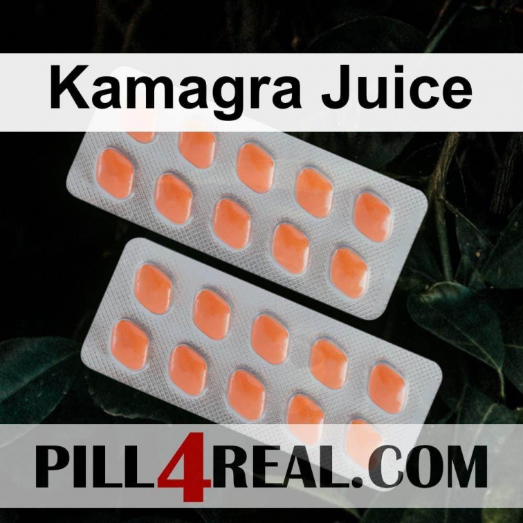 Kamagra Juice 423