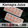 Kamagra Juice 423