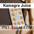 Kamagra Juice 487