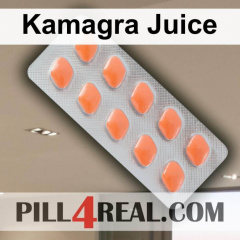 Kamagra Juice 562
