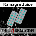 Kamagra Juice 844