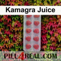 Kamagra Juice 919