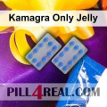 Kamagra Only Jelly 046