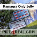 Kamagra Only Jelly 179