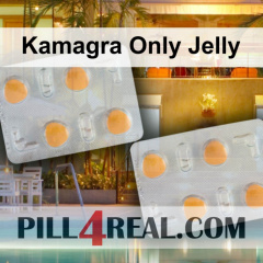 Kamagra Only Jelly 209