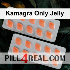 Kamagra Only Jelly 320