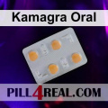 Kamagra Oral 316