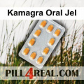 Kamagra Oral Jel 053