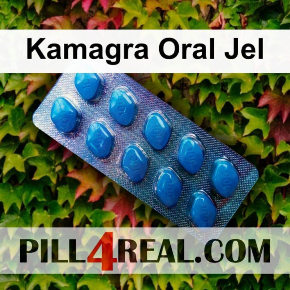 Kamagra Oral Jel 288