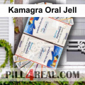 Kamagra Oral Jell 408
