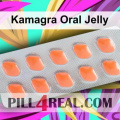 Kamagra Oral Jelly 295