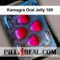 Kamagra Oral Jelly 100 341