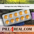 Kamagra Oral Jelly 100Mg How To Use 058