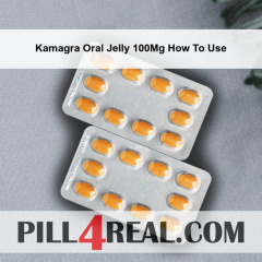 Kamagra Oral Jelly 100Mg How To Use 070