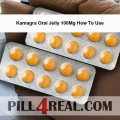 Kamagra Oral Jelly 100Mg How To Use 174