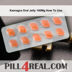 Kamagra Oral Jelly 100Mg How To Use 269