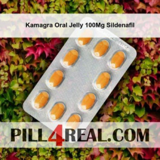 Kamagra Oral Jelly 100Mg Sildenafil 022