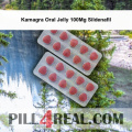 Kamagra Oral Jelly 100Mg Sildenafil 101