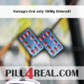 Kamagra Oral Jelly 100Mg Sildenafil 289
