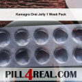 Kamagra Oral Jelly 1 Week Pack 419