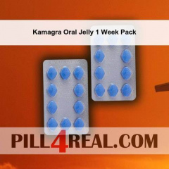Kamagra Oral Jelly 1 Week Pack 540