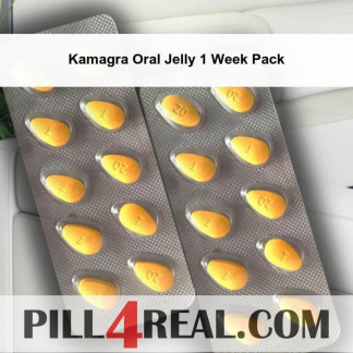 Kamagra Oral Jelly 1 Week Pack 636