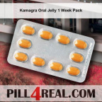 Kamagra Oral Jelly 1 Week Pack 682