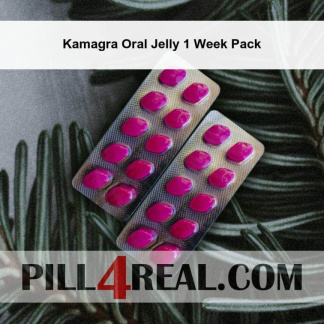 Kamagra Oral Jelly 1 Week Pack 702