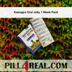 Kamagra Oral Jelly 1 Week Pack 992