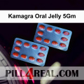 Kamagra Oral Jelly 5Gm 084