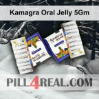 Kamagra Oral Jelly 5Gm 407