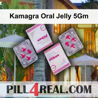 Kamagra Oral Jelly 5Gm 714