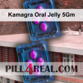 Kamagra Oral Jelly 5Gm 786