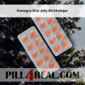 Kamagra Oral Jelly Bivirkninger 195