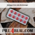 Kamagra Oral Jelly Bivirkninger 602