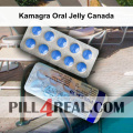 Kamagra Oral Jelly Canada 016