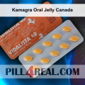 Kamagra Oral Jelly Canada 336