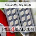 Kamagra Oral Jelly Canada 375