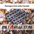 Kamagra Oral Jelly Canada 494