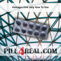 Kamagra Oral Jelly How To Use 403