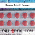 Kamagra Oral Jelly Kamagra 682