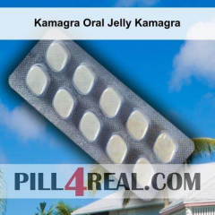 Kamagra Oral Jelly Kamagra 732